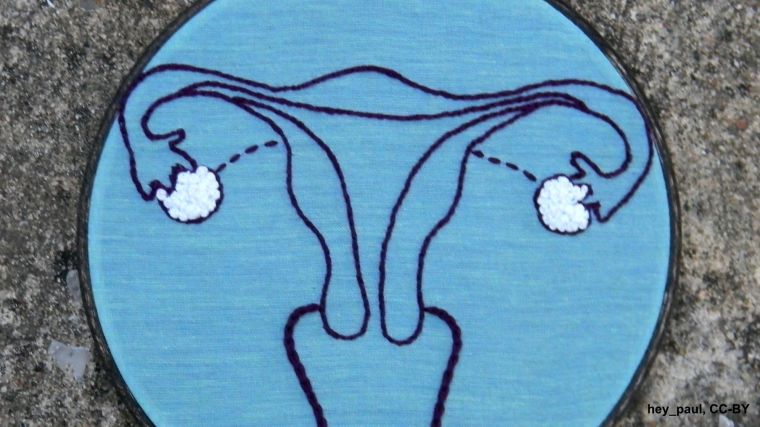 A embroidery in black thread of the female reproductive organs with the ovaries stiched in white.