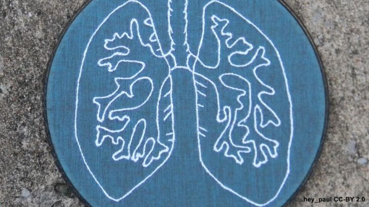Embroidary of lungs